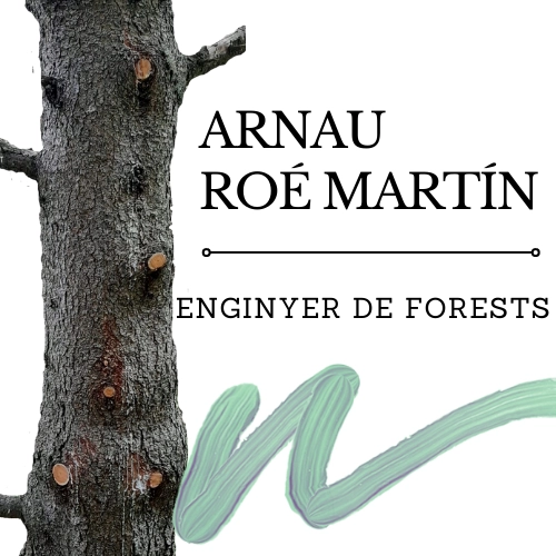 Logo Arnau Roé Martín · Enginyer de forests